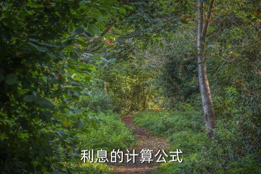 利息怎么求,債務年利息怎么求