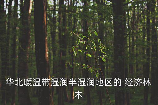 經(jīng)濟(jì)林木,油橄欖是著名的亞熱帶果樹(shù)和經(jīng)濟(jì)林木