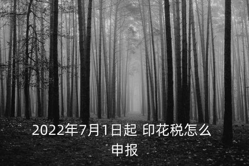 印花稅怎么申報,實收資本增加印花稅怎么申報