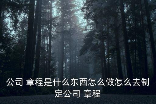 章程是什么意思,公司章程是什么意思