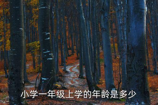 小孩幾歲上一年級(jí),2023年小孩幾歲上一年級(jí)