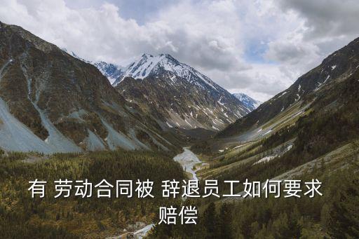 有 勞動(dòng)合同被 辭退員工如何要求 賠償