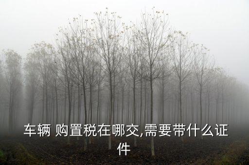車輛購置稅在哪里交,煙臺(tái)市萊山區(qū)車輛購置稅在哪里交