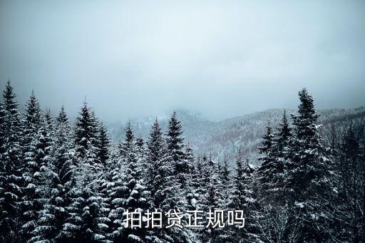 拍拍貸是合法的嗎,極融借款app下載