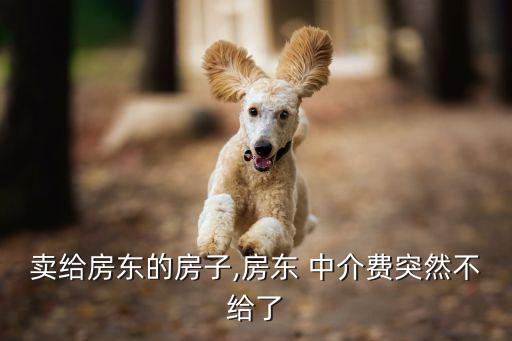 民法典房屋買賣合同糾紛中介費,房屋買賣合同糾紛中介負責嗎