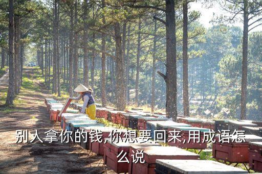 殺人償命欠債還錢