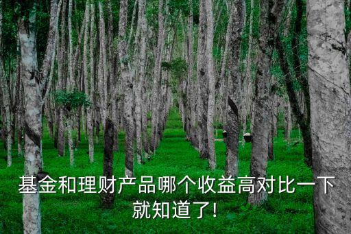 基金對(duì)比,同業(yè)存單指數(shù)基金和貨幣基金對(duì)比