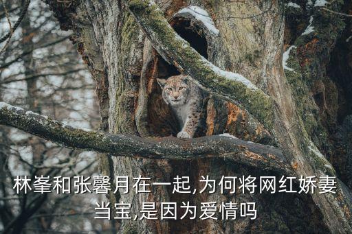 林長青