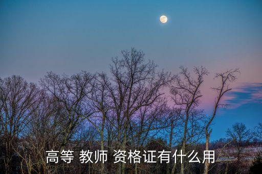 高等學(xué)校教師資格證