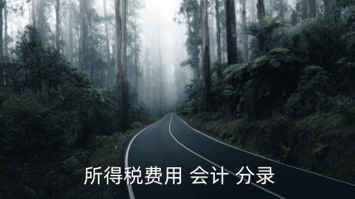 企業(yè)所得稅會計(jì)分錄,所得稅會計(jì)分錄怎么做