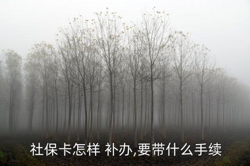 社保卡掛失補辦流程,支付寶社?？⊕焓аa辦流程