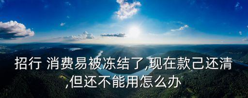 消費(fèi)易