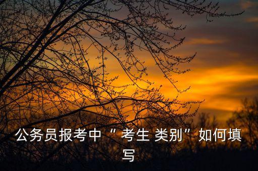 公務(wù)員報(bào)考中“ 考生 類別”如何填寫