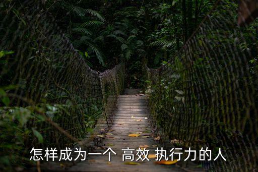 怎樣成為一個 高效 執(zhí)行力的人