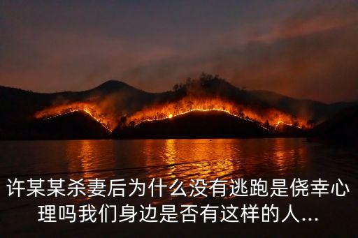 許某某
