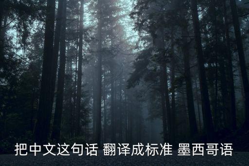 墨西哥語翻譯