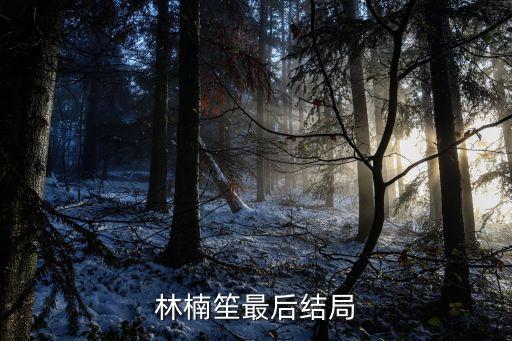 穿越封鎖線,穿越烽火線全集播放免費(fèi)觀看