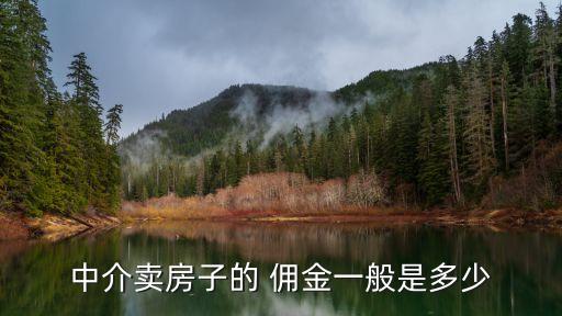 經(jīng)紀(jì)人傭金,nba球員經(jīng)紀(jì)人傭金