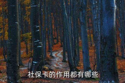 社?？ǖ挠猛?電子社保卡的用途