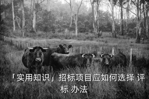 投標評標標準和評標辦法,綜合評標辦法投標競爭策略