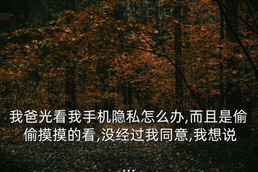 偷摸爸爸