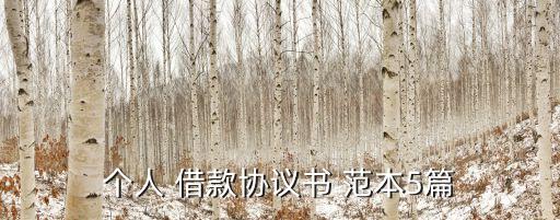 個人借款正規(guī)合同范本大全,單位借款合同范本大全