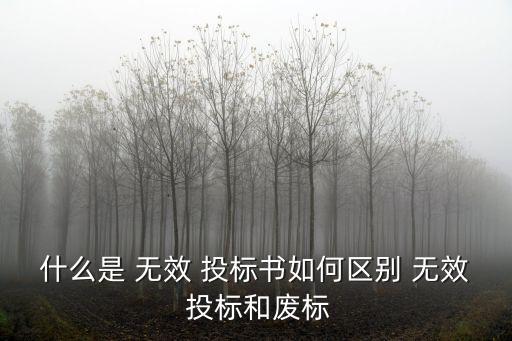 出現(xiàn)哪些情形屬于無(wú)效投標(biāo),以下哪些情形不屬于婚姻無(wú)效的