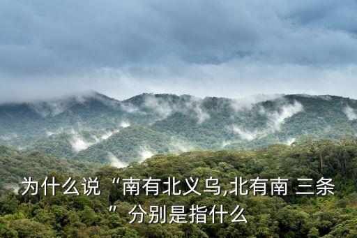 南三條批發(fā)市場(chǎng),石家莊市南三條批發(fā)市場(chǎng)