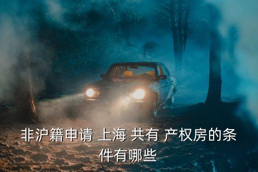 上海共有產(chǎn)權(quán)房