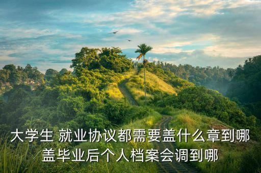 大學(xué)生 就業(yè)協(xié)議都需要蓋什么章到哪蓋畢業(yè)后個(gè)人檔案會(huì)調(diào)到哪