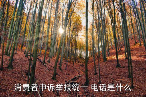 消費(fèi)者申訴舉報(bào)統(tǒng)一 電話是什么
