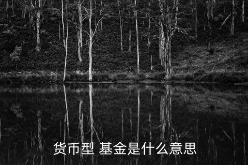 貨幣基金是什么,特約興業(yè)銀行貨幣基金是什么