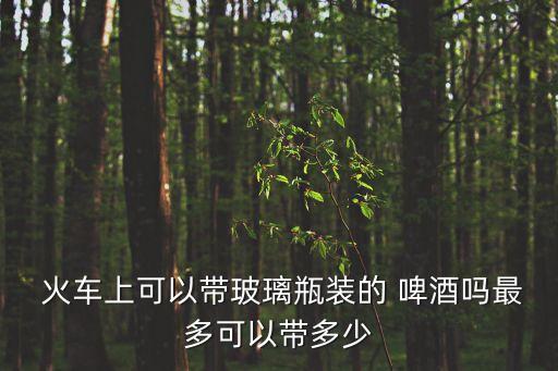 火車能帶啤酒嗎,坐火車一人能帶幾瓶53度白酒