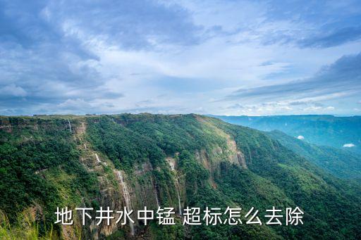錳超標(biāo)