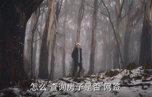 商品房網(wǎng)簽合同查詢,大同商品房網(wǎng)簽合同查詢