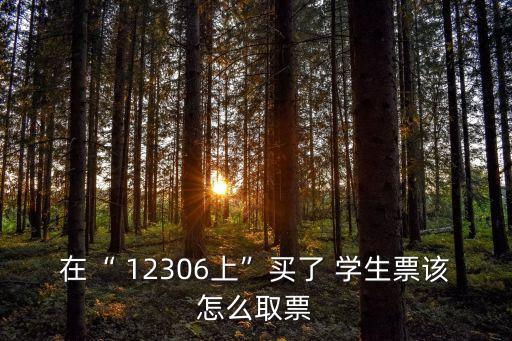 12306學(xué)生票