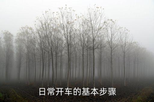 駕車,駕考寶典