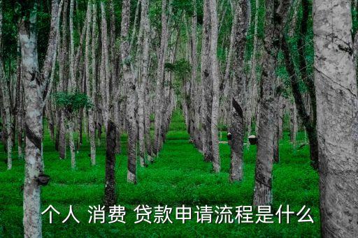 個(gè)人綜合消費(fèi)貸款