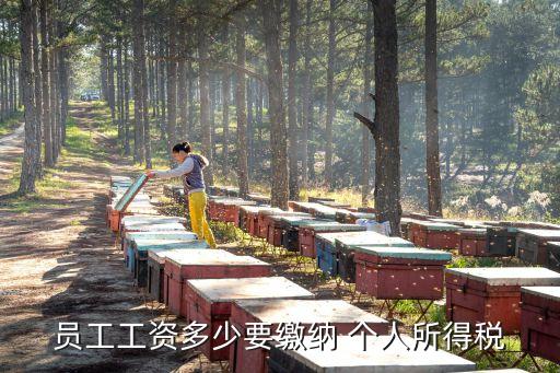 收入多少要交個(gè)人所得稅,2022年收入多少要交個(gè)人所得稅