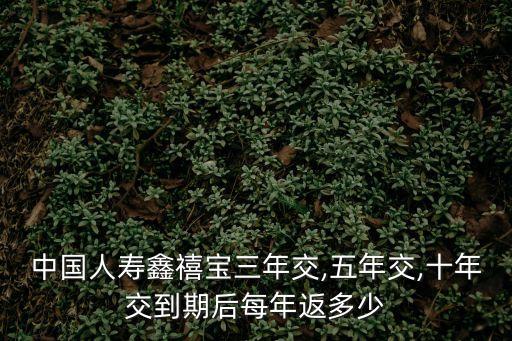 國壽鑫禧寶年金保險