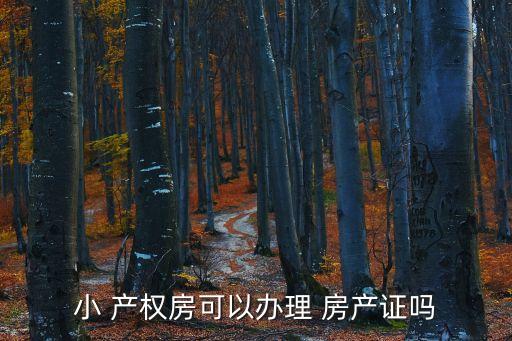 小產(chǎn)權(quán)房有房產(chǎn)證嗎,售后公房產(chǎn)權(quán)和同住人認(rèn)定