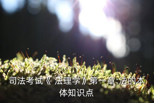 法理學(xué)概念辨析題