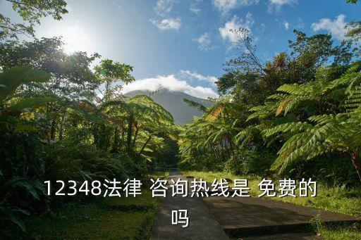 消費(fèi)者法律援助24小時免費(fèi)咨詢,協(xié)商還款打12378技巧