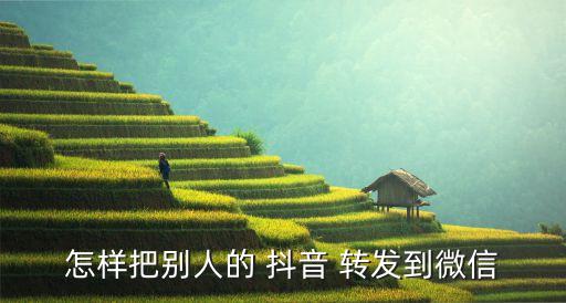 抖音轉(zhuǎn)發(fā)