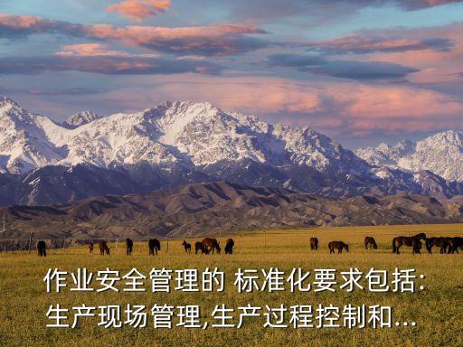 作業(yè)標準化,安全管理規(guī)范化、現(xiàn)場作業(yè)標準化
