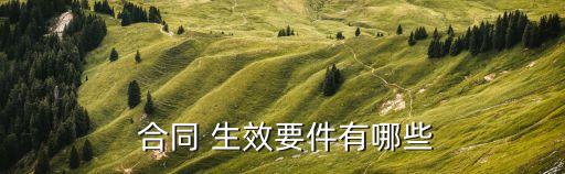 合同生效