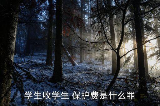 保護(hù)費