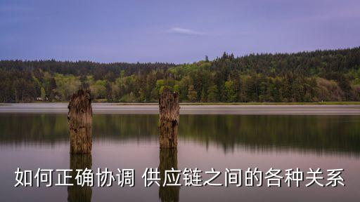 供應(yīng)契約的實際例子,數(shù)量折扣契約的實際例子