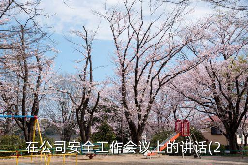在公司安全工作會議上的講話(2