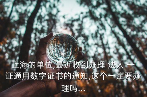 法人一證通